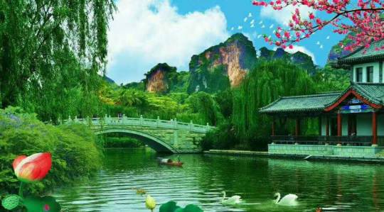 词风雅韵-冯振宇｜千条溪水奔流去万顷荷花娇艳红