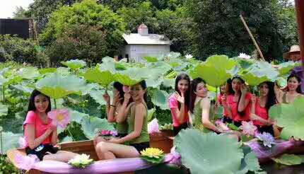 词风雅韵-冯振宇｜千条溪水奔流去万顷荷花娇艳红