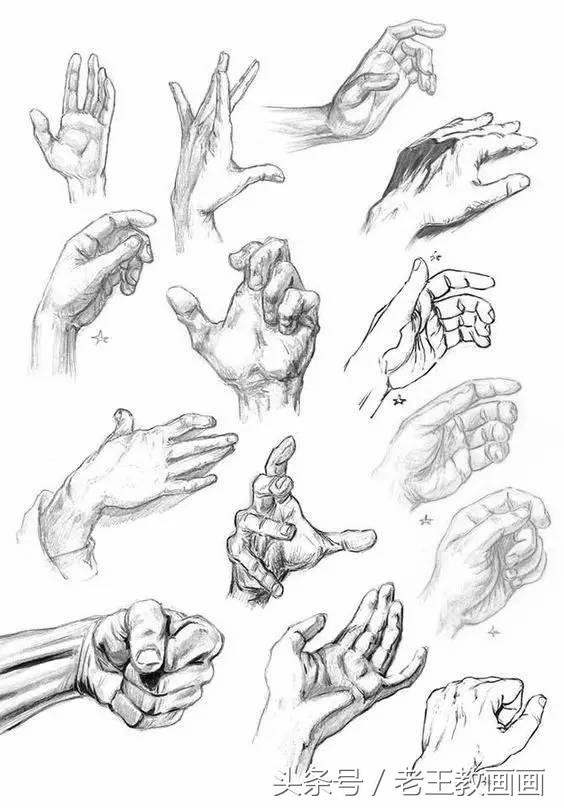 教100个零基础画画小白,零基础自学绘画入门书