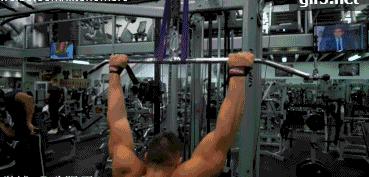 背部训练主要是背阔肌还是斜方肌,高位下拉上背部和背阔肌训练方法