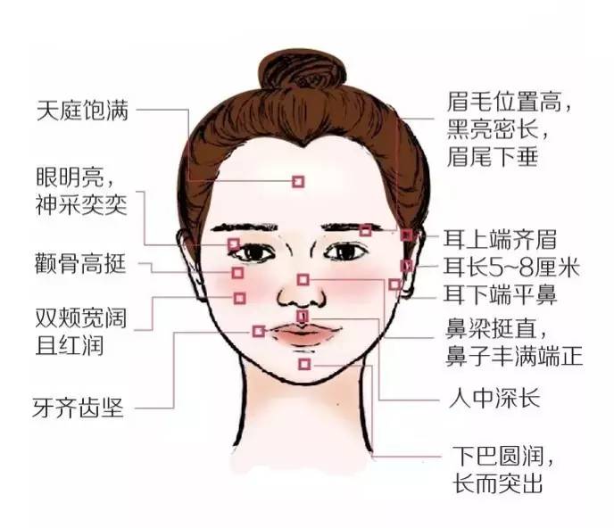 司马懿熬死曹家三代,司马懿熬死了几代曹家君主