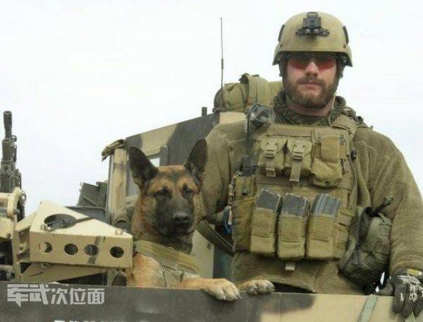 军犬的真实故事,军犬感人真实故事