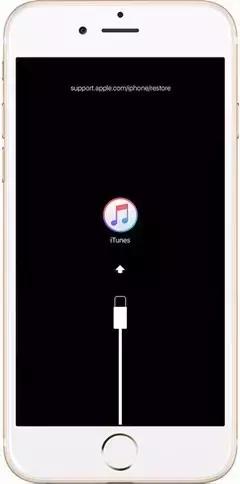 iphone已停用多久可以输入密码,抓狂啊