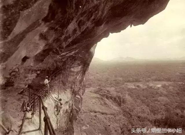 王健林海外投资靠谱吗,王健林投资瑞士新西兰