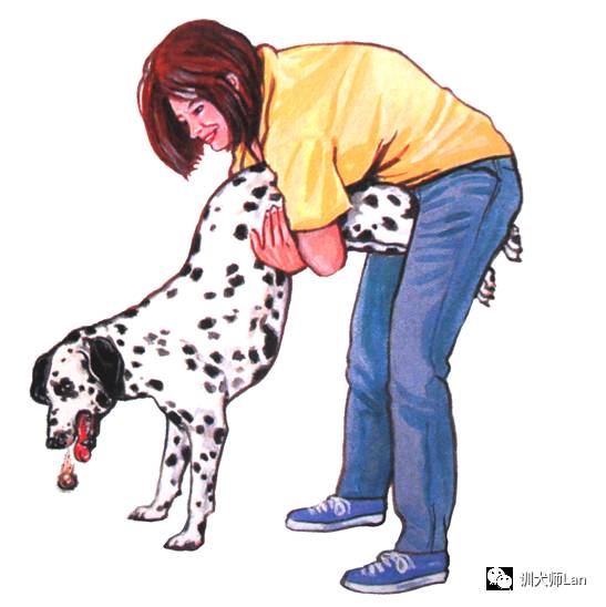 狗狗突然呛了气管怎么办,狗狗像呛到了卡不出来一样