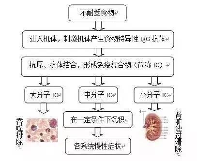 明星都逃不掉的事，健康Q博士说不定有办法