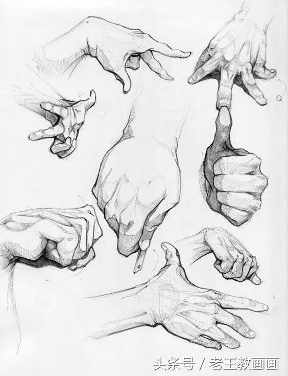 教100个零基础画画小白,零基础自学绘画入门书