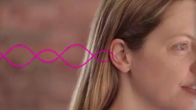 耳朵的位置特点写一段话,耳朵的位置作文