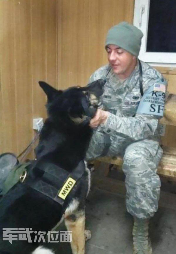 军犬的真实故事,军犬感人真实故事