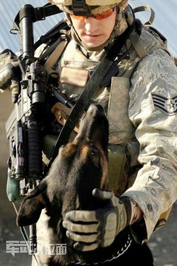 军犬的真实故事,军犬感人真实故事