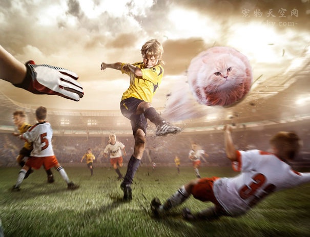 鎬庝箞鎶婅冻鐞冨仛鎴愮珛浣撶殑ps,鎶婅冻鐞僷鎴愮尗