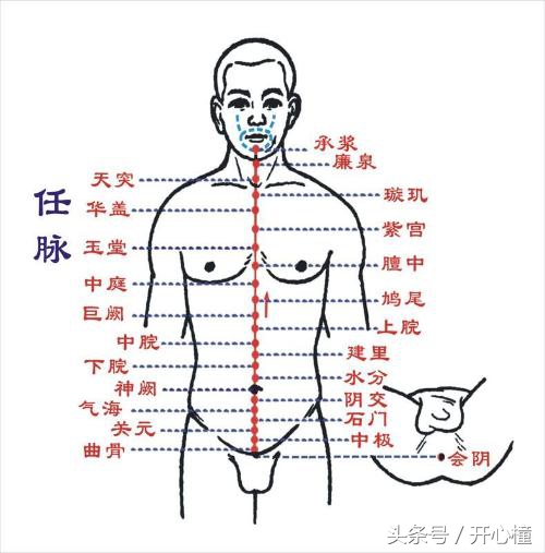 内家拳浑圆桩功效,武术内家拳养生桩