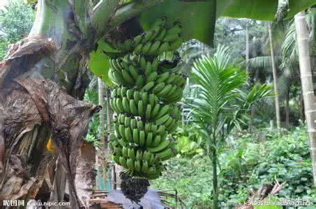 小孩怎样长高并且让腿变长,怎样长高并且让腿变长变细