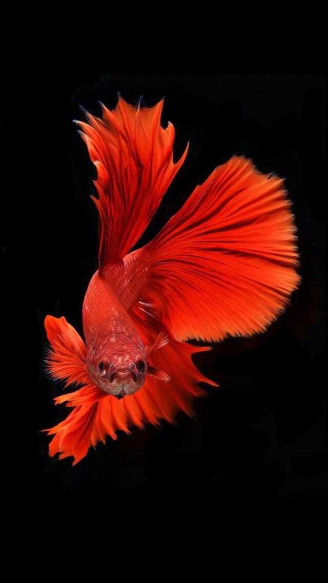 使用有锁机需要关注些什么,什么是有锁机小白篇