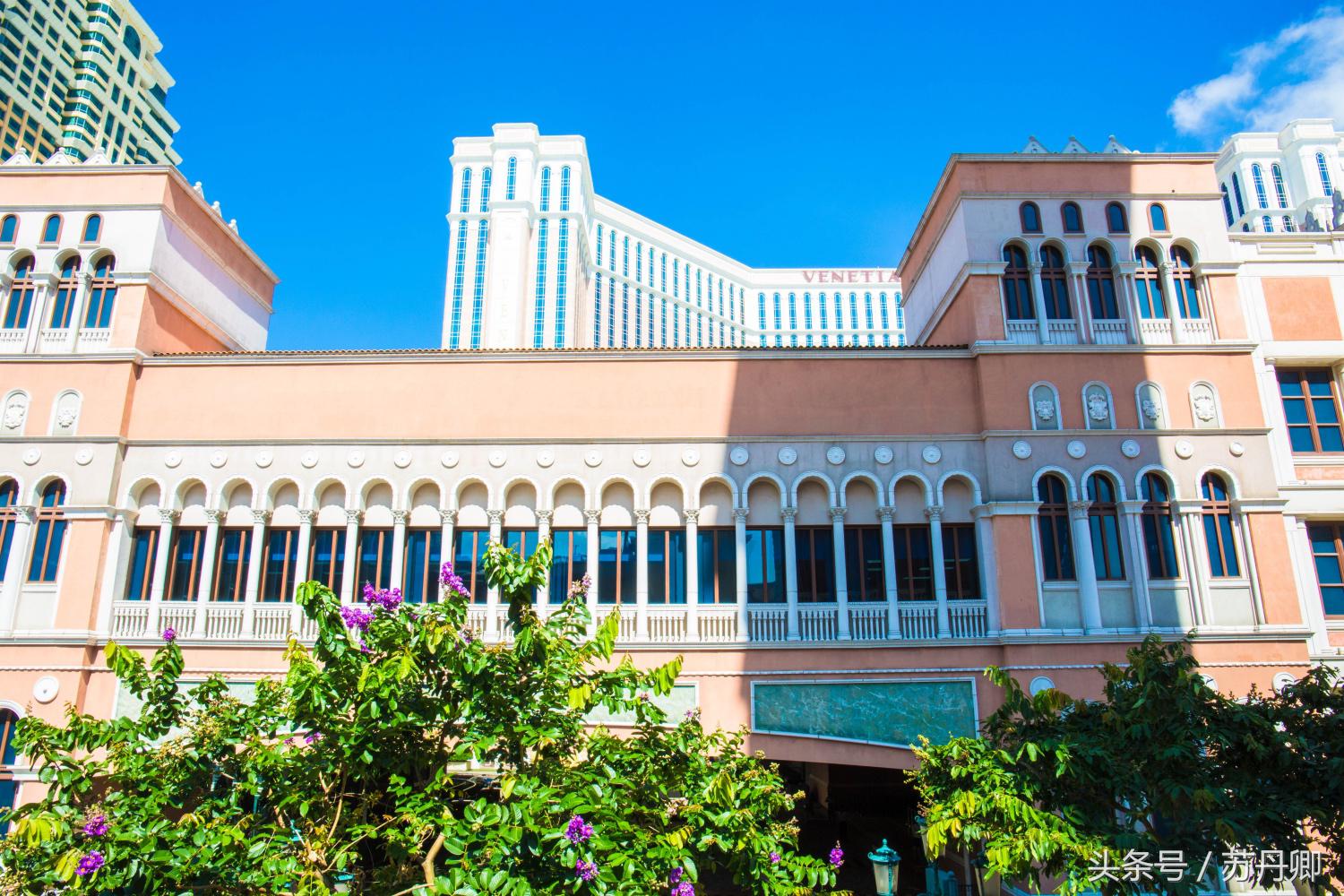 澳门赌城旅游详解,澳门赌场一日游攻略