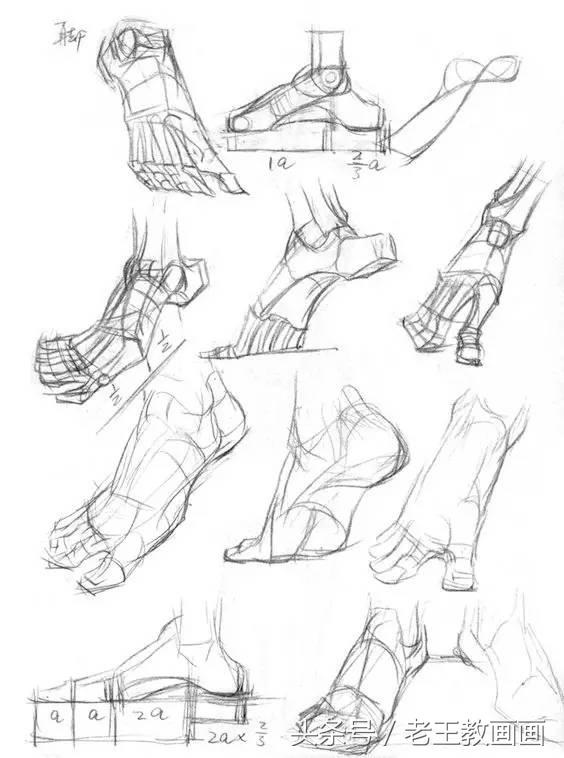 教100个零基础画画小白,零基础自学绘画入门书