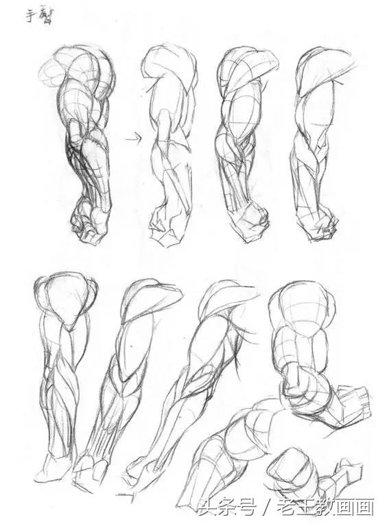 教100个零基础画画小白,零基础自学绘画入门书