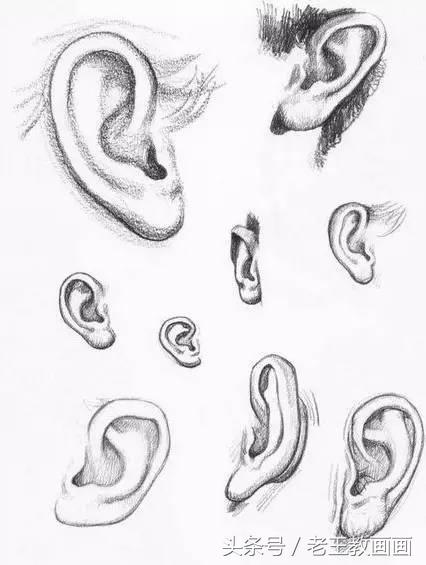 教100个零基础画画小白,零基础自学绘画入门书