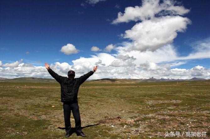 流浪的玫瑰,流浪的玫瑰歌曲