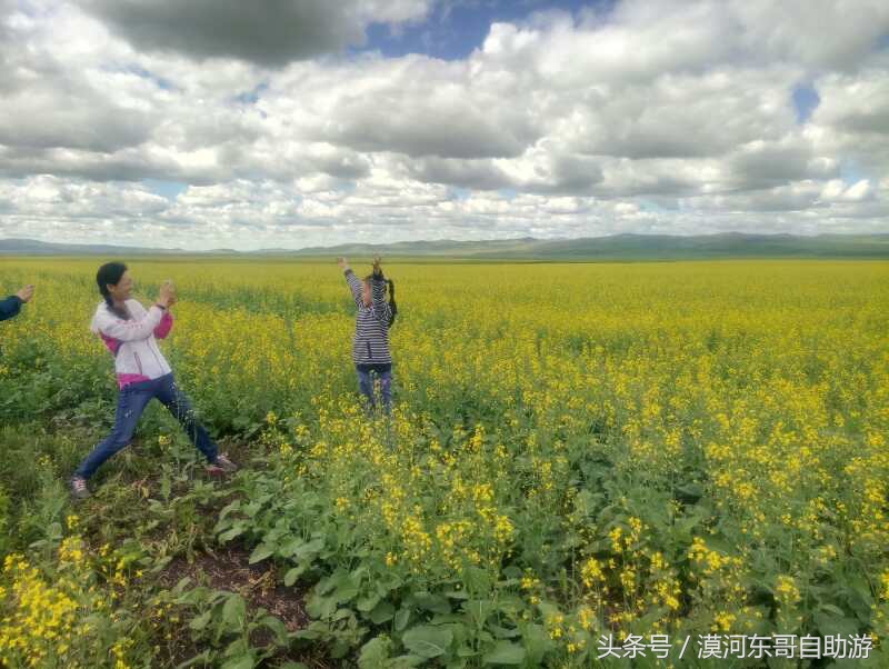 呼伦贝尔漠河旅游攻略夏季,漠河呼伦贝尔阿尔山10日游攻略