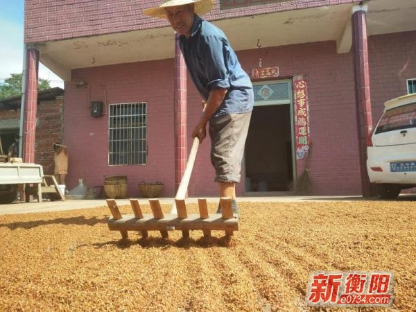 吃惊的事情,惊诧的事情