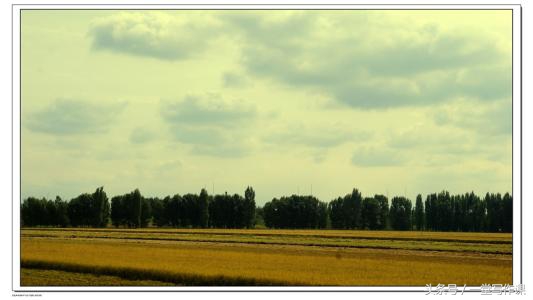 散文的理念是什么,散文的定义及构成要素