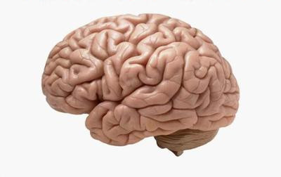 中暑为什么能死亡,中暑怎样引起的