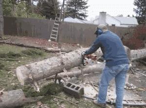 你期末考试考得怎样,你考试考得怎么样英语怎么说