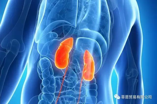 吃酵素进行肝胆排毒是真的吗,服用酵素可以补充活性酶