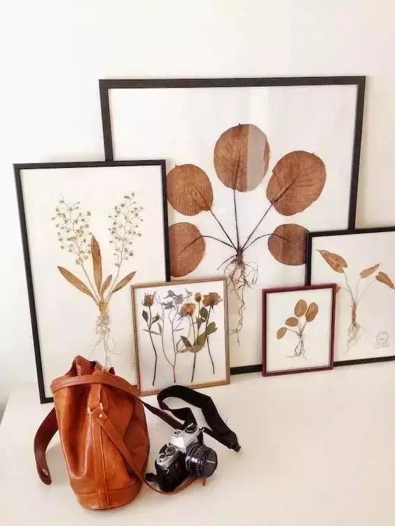 diy干花教程5朵,自己动手diy的干花