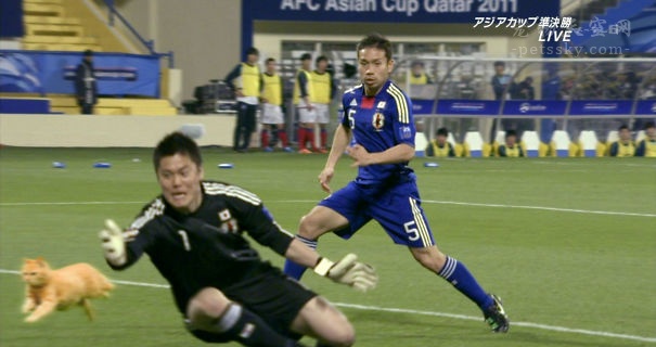 鎬庝箞鎶婅冻鐞冨仛鎴愮珛浣撶殑ps,鎶婅冻鐞僷鎴愮尗