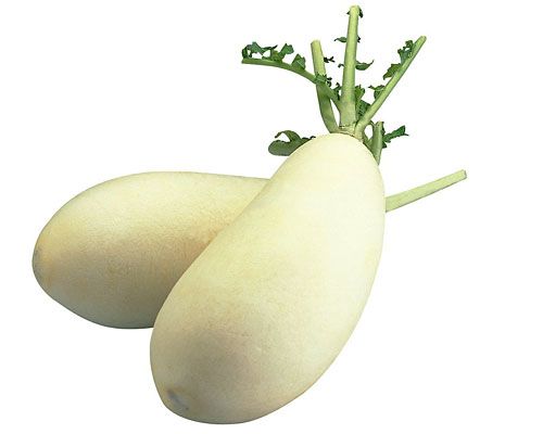 虚胖怎么办减肥,虚胖怎么解决呢