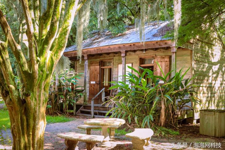 我在美国吃麻小佳能EOS路易斯安那随拍