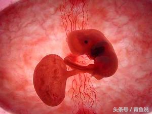 怀孕初期出血影响流产吗,早期怀孕出血10天胎儿能保住吗