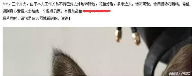 信息流投放吸粉,信息流涨粉投放