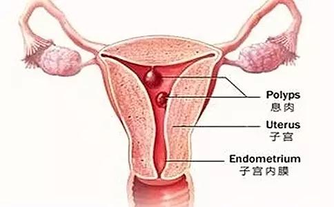 6年不孕,六年不孕的亲身经历