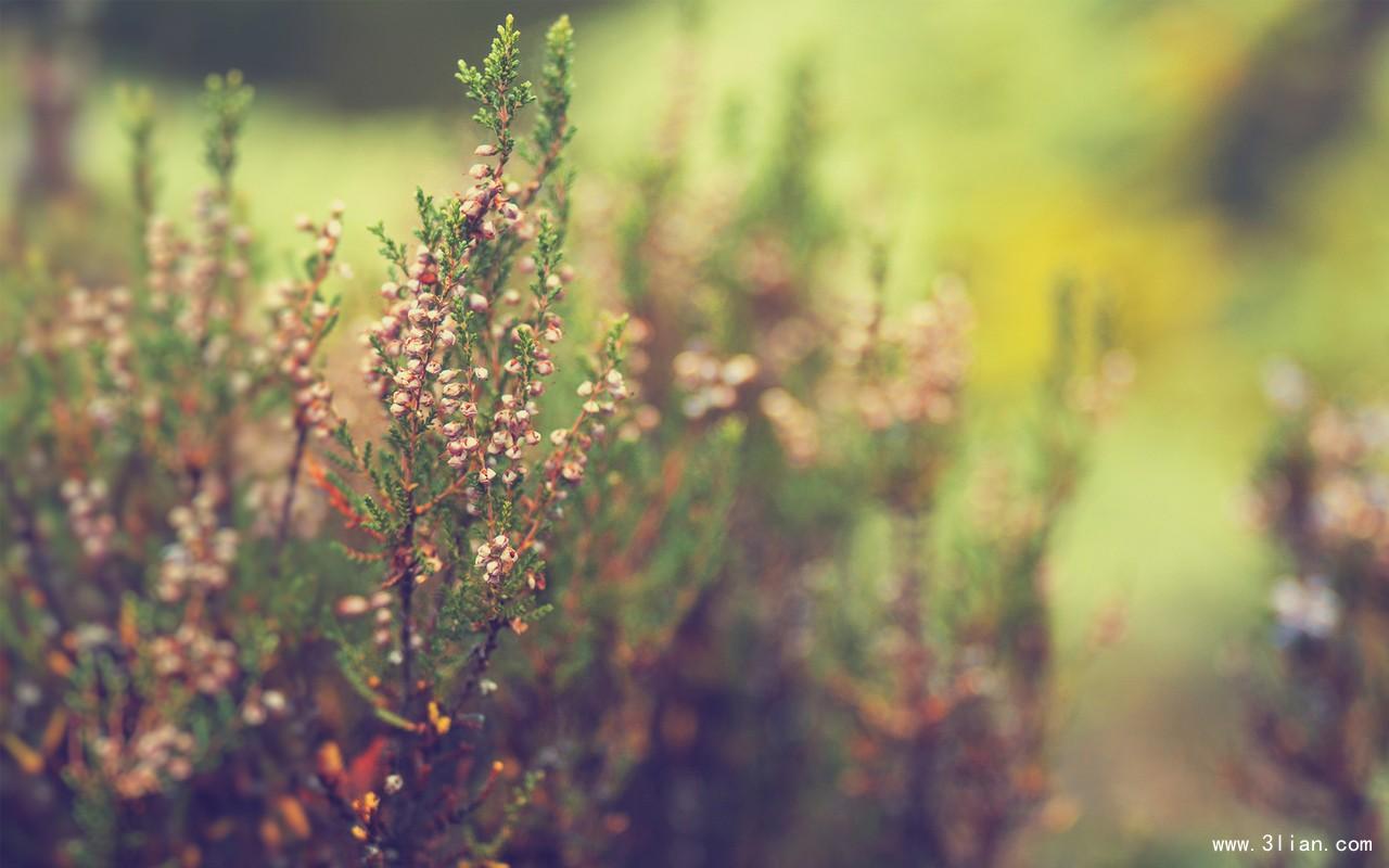 西安模特阿颖最新视频,西安阿颖