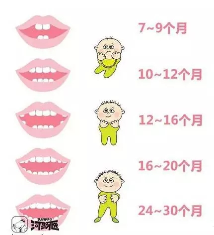 怎么拯救牙齿易龋齿的宝宝,如何安抚长牙期的宝宝