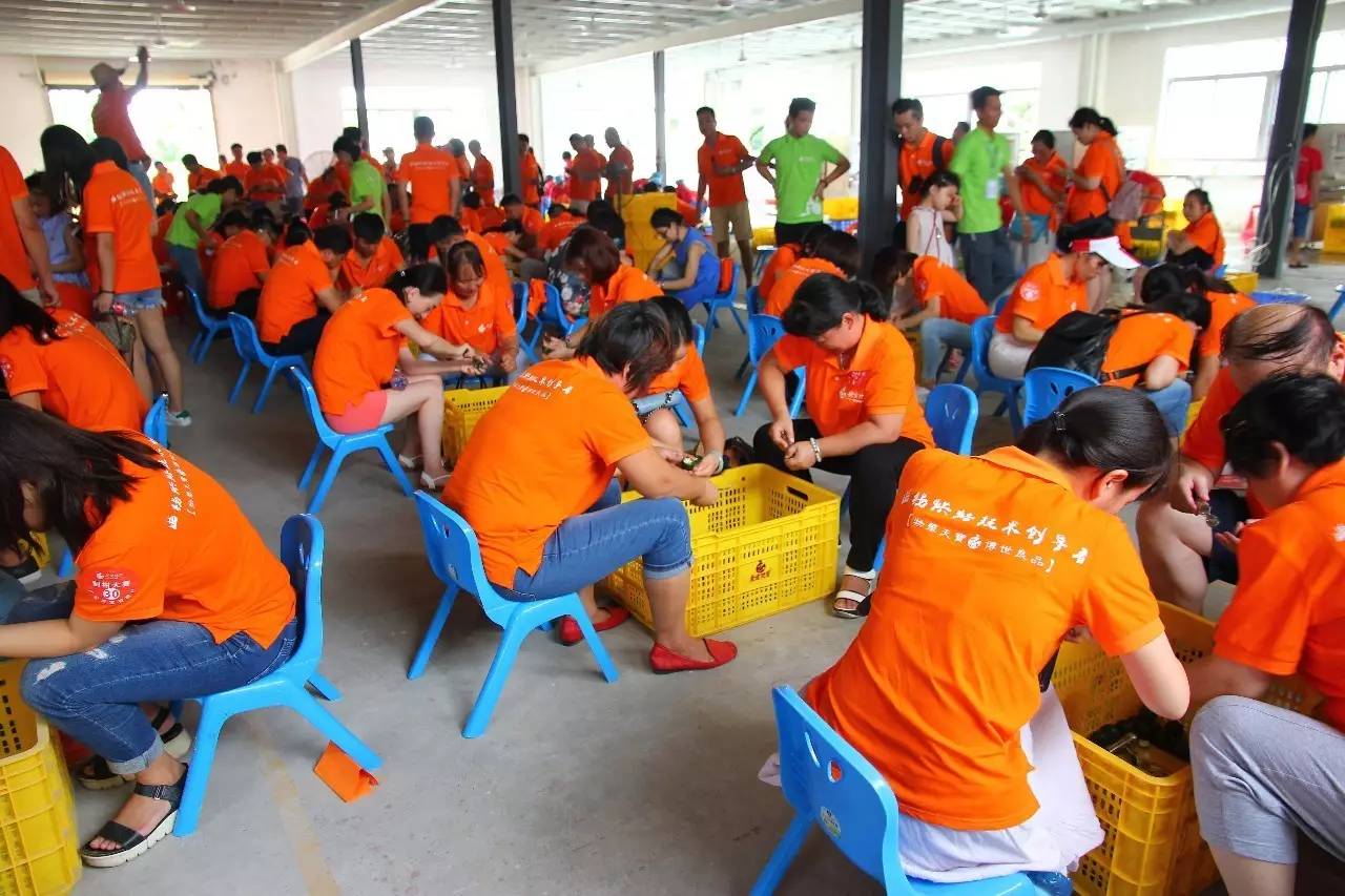 新会陈皮邀请赛,新会柑比赛