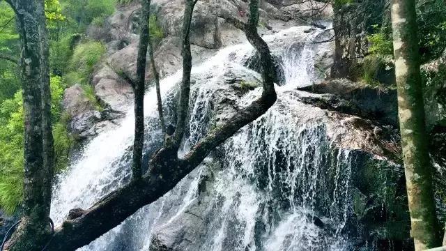 周宁旅游攻略一日游,周宁避暑旅游攻略