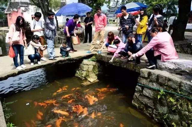 周宁旅游攻略一日游,周宁避暑旅游攻略