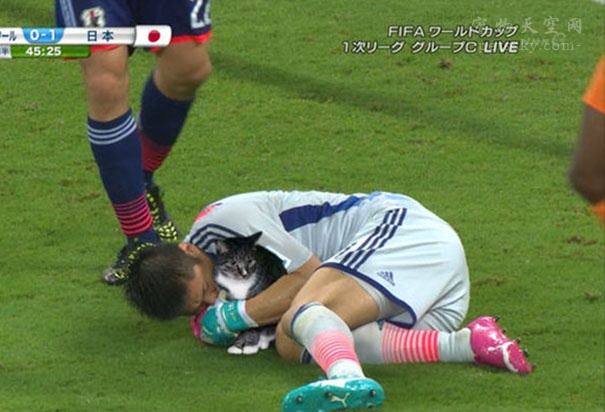 鎬庝箞鎶婅冻鐞冨仛鎴愮珛浣撶殑ps,鎶婅冻鐞僷鎴愮尗