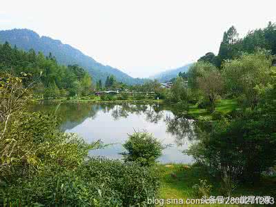 散文的理念是什么,散文的定义及构成要素