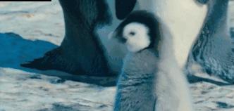 如何区分山寨货真假图解,真假货辨别