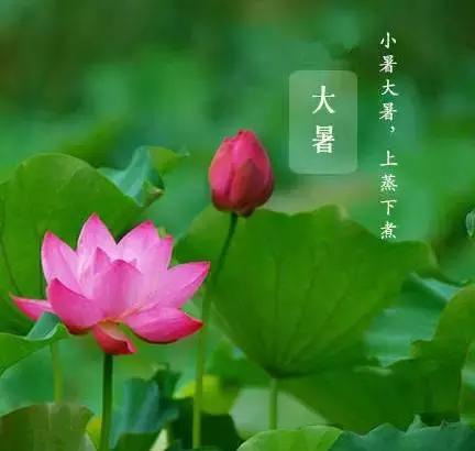 大暑温馨提醒你关注什么,大暑即将来临的视频