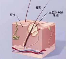 脸上摸起来硬硬的包但看不出来,脸上很多摸起来的痘痘