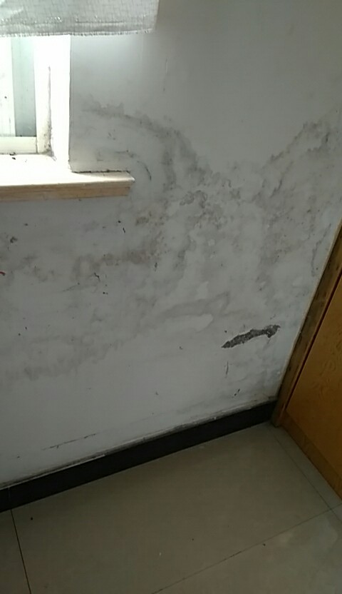 有什么办法可以把房子弄烂,墙发霉起皮返潮怎么办