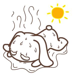 女生体寒该怎么办,女生体寒怎么办小妙招