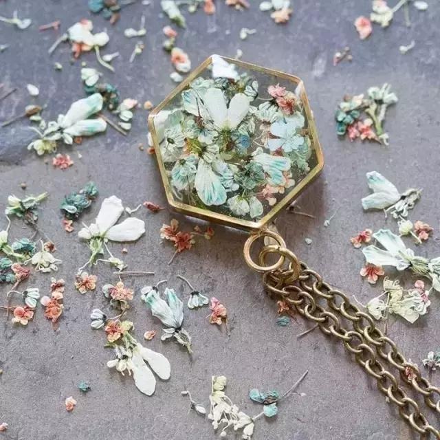 diy干花教程5朵,自己动手diy的干花