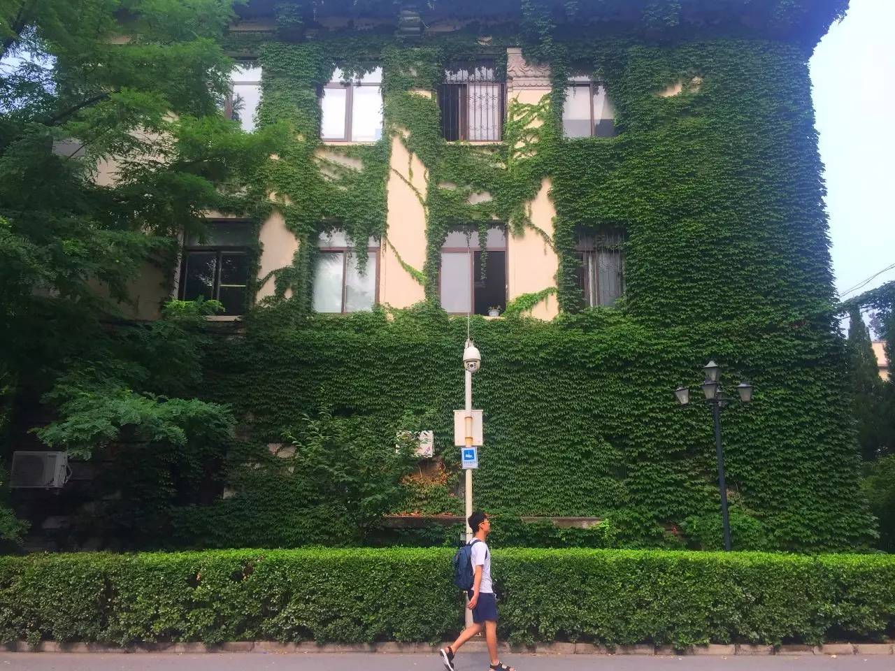 北京科技大学这个西瓜摊神了，一到夏天就成北科吃货聚集地